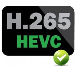 H265 Video Playback Support